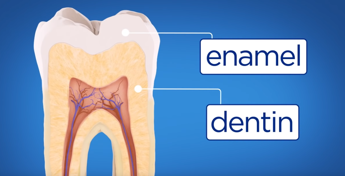 root canal Raleigh NC